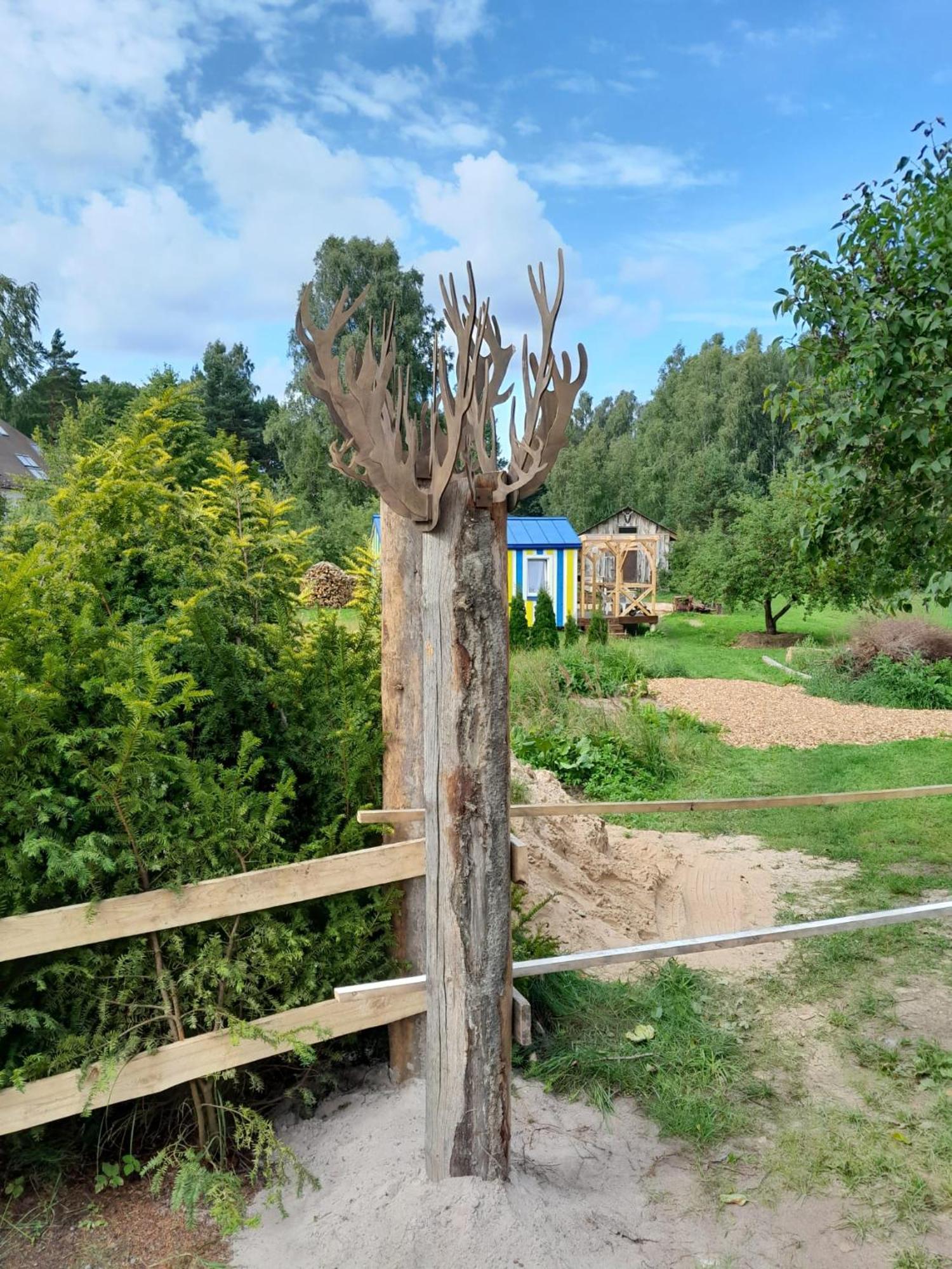 Fluffy Horns - Kempings Pukainie Ragi *